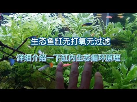 魚缸理論|魚缸理論：發現客戶最本質的需求